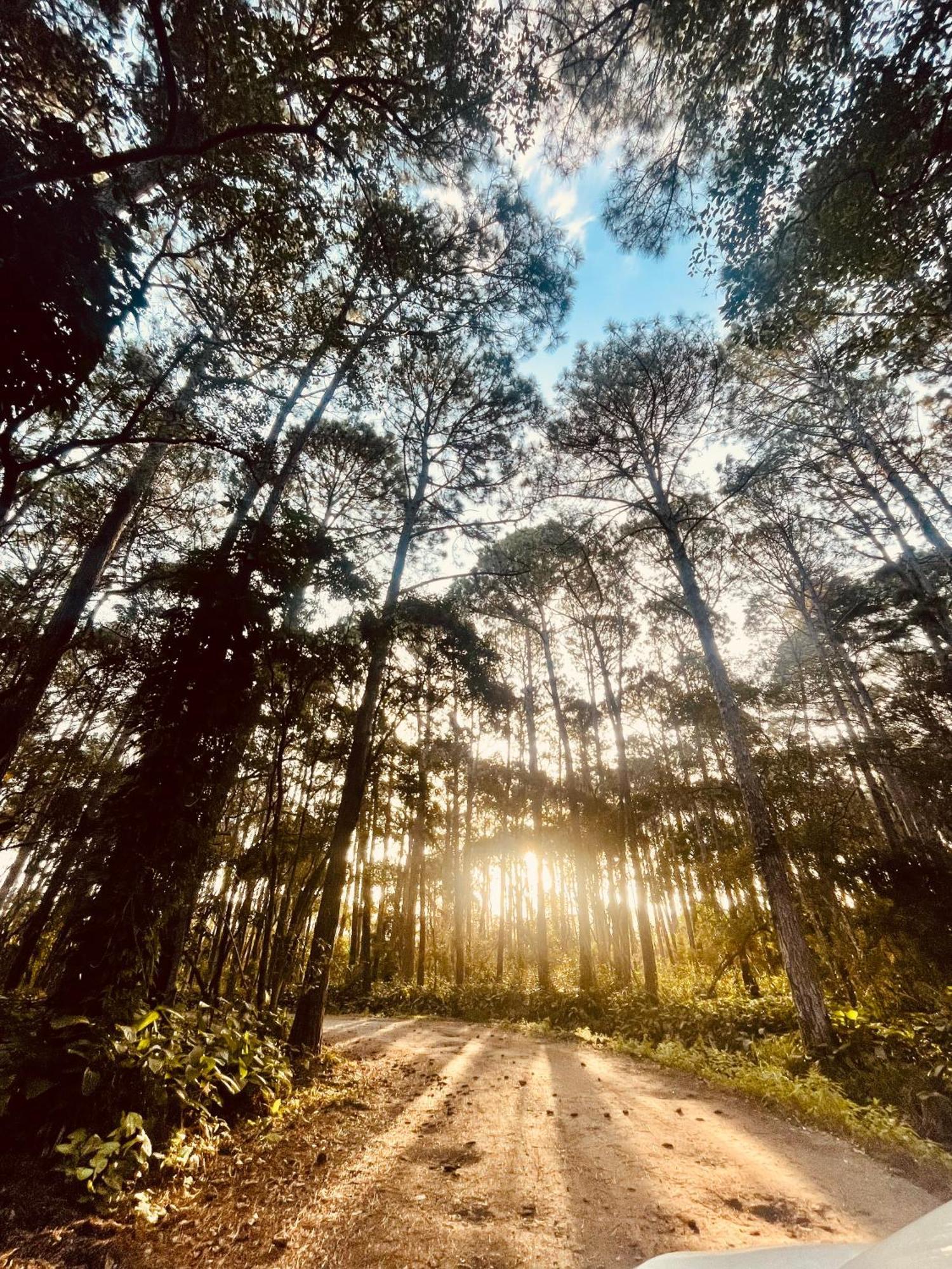 Pousada Ilha Dos Anjos Ξενοδοχείο Florianópolis Εξωτερικό φωτογραφία